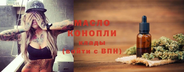 тгк Дмитров