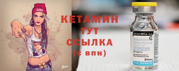 сатива Дмитриев