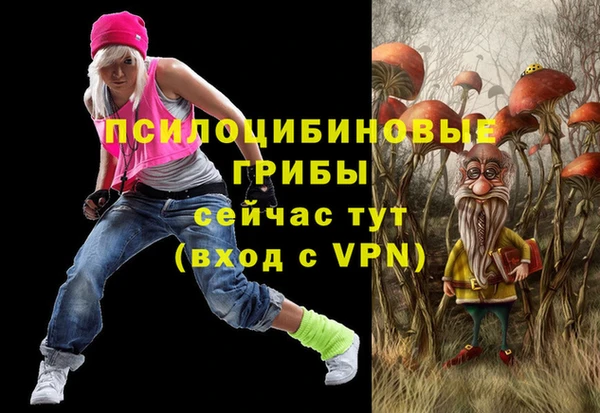 ECSTASY Дмитровск