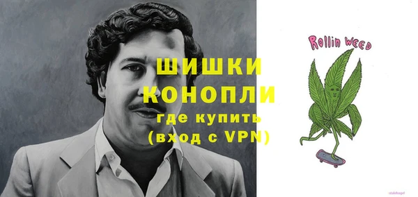 тгк Дмитров