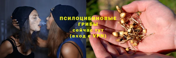 ECSTASY Дмитровск