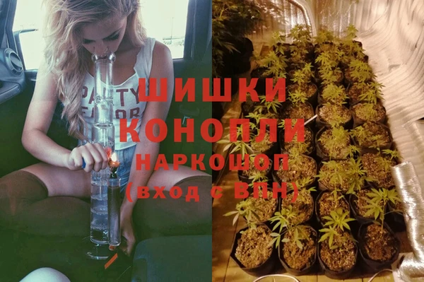 сатива Дмитриев