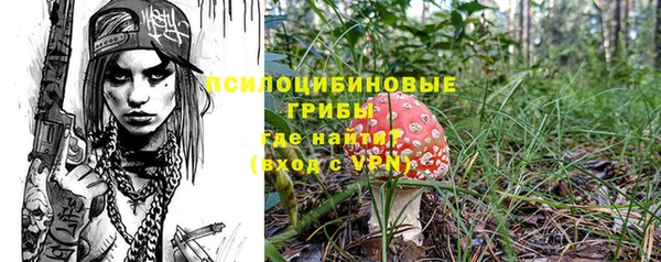 тгк Дмитров