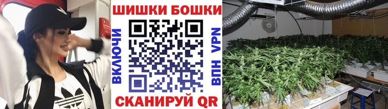 Купить закладки  Первомайск  Шишки марихуана конопля 